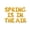 Gold, variant on Letter Balloons - SPRING IS IN THE AIR 16" Inch Alphabet Letters Foil Mylar Balloon Easter Party Banner (Purple)