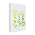 thumbnail image 3 of Trademark Fine Art Kata Botanical Hoary cress or Lepidium draba botanical painting Canvas Wall Art, 3 of 4