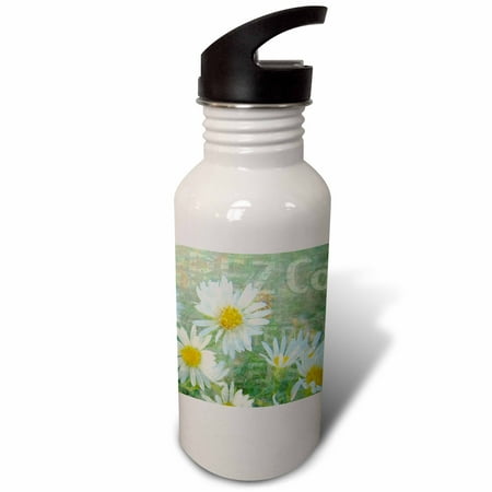 

3dRose Daisy Co. Digital Art by Angelandspot Sports Water Bottle 21oz