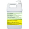 Simple Green 1 gal. Hand Cleaner Gel