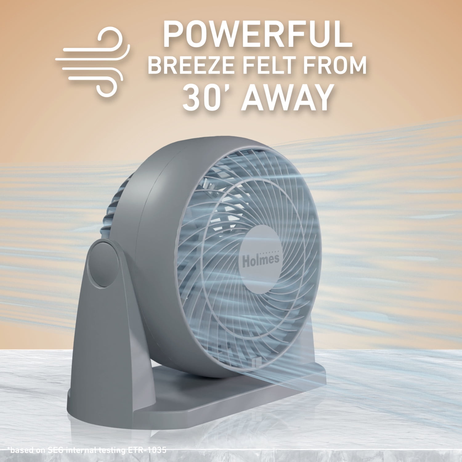 Holmes Blizzard 3-Speed Air Circulator Fan, 90° Adjustable Tilt, Removable Grill, Gray, 14086