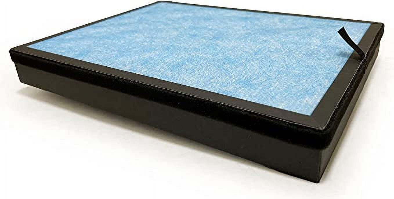 Nispira 3-in-1 Blue True HEPA Activated Carbon Filter Replacement For AP1002 Air Purifier | Compatible with Airtok | Remove Odors Smoke | 2 Packs