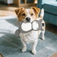 thumbnail image 3 of GiGwi 12" Squeaker with Rope Cozy Donkey Dog Toy, 3 of 5