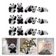 thumbnail image 3 of 12pcs Miniatura Panda adornos Decorativos Animales Modelos Creativos Panda Muñecas HOMEMAXS 13615896-MX, 3 of 6
