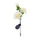 thumbnail image 2 of ddioayh Lifelike Solar Faux Flower Lights Solar Powered Waterproof LED with Auto On Off for Outdoor Garden Pathways Lawns Patio Yard Stake Lights, 2 of 7