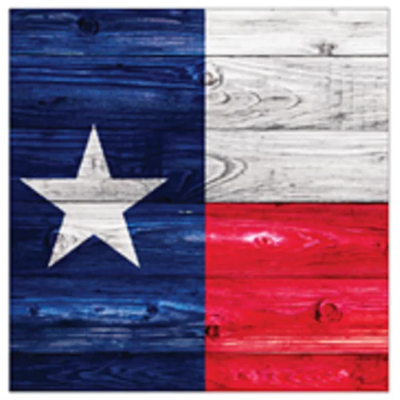 True Texan Texas Flag Usa Patriotic Theme Party Paper Luncheon Napkins