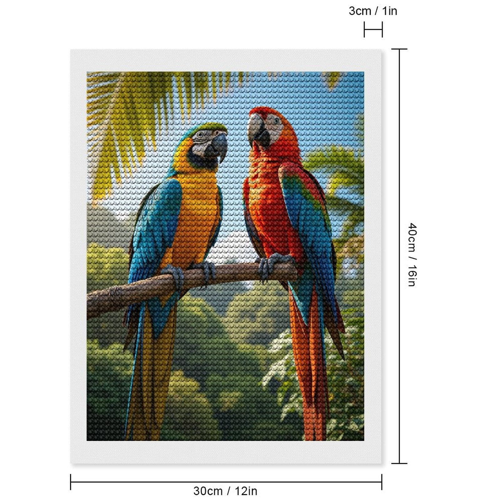 Diamond Art Kits for Adults - Parrots Colorful Tropical Perch Vibrant 5d Diamond Painting for Adults, Diamond Art for Adults Beginners, Frameless Diamond Painting Kits for Adults for Home Wall Decor