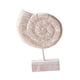 thumbnail image 3 of Estatua de madera para mesa de playa, decoración de mesa, adorno artístico para casa de campo de playa. Forma de caracola, 3 of 8