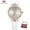 Leather White Box, variant on MINI FOCUS Brand Luxury Women Watches Waterproof Rose Gold Relogio Feminino Montre Femme Ladies Wristwatches Quartz Reloj Mujer