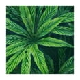 thumbnail image 4 of HAOXIT Theme Print Table Cover Party Supplies Ideal for theme Birthday Parties Theme Party, Baby Showers, Themed Party (Leaf) white, 4 of 8