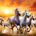 thumbnail image 6 of WYYP Horses Running at Sunset Round Tablecloth - Full Width Single-Sided Printing 100% Polyester Fiber with Elastic Edge White, 6 of 8
