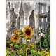 thumbnail image 1 of Cuadro de diamantes (DB3449), imagen de girasol de construcción, artesanía de diamantes de imitación redonda completa, 45x60cm FLhrweasw Nuevo, 1 of 1