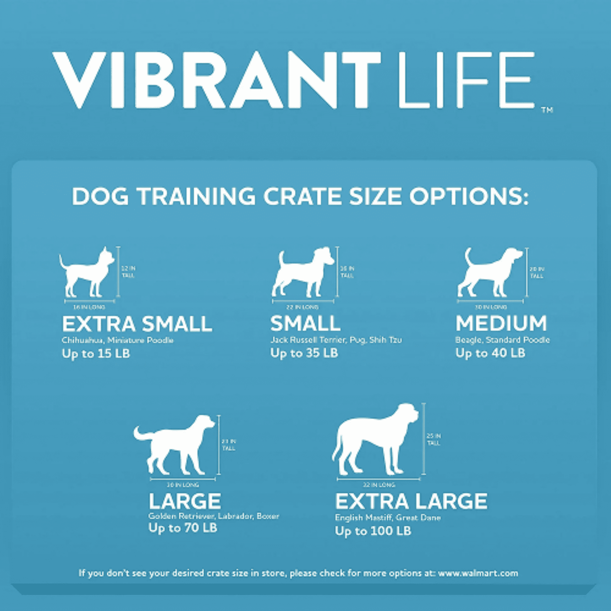Vibrant Life 26" Plastic Portable Kennel for Dogs, Blue