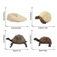 thumbnail image 3 of Figura de insecto de 4 piezas, ciclo de vida animal, cría de plástico para madurar el período Wmkox8yii  HAHFKSH1451, 3 of 3