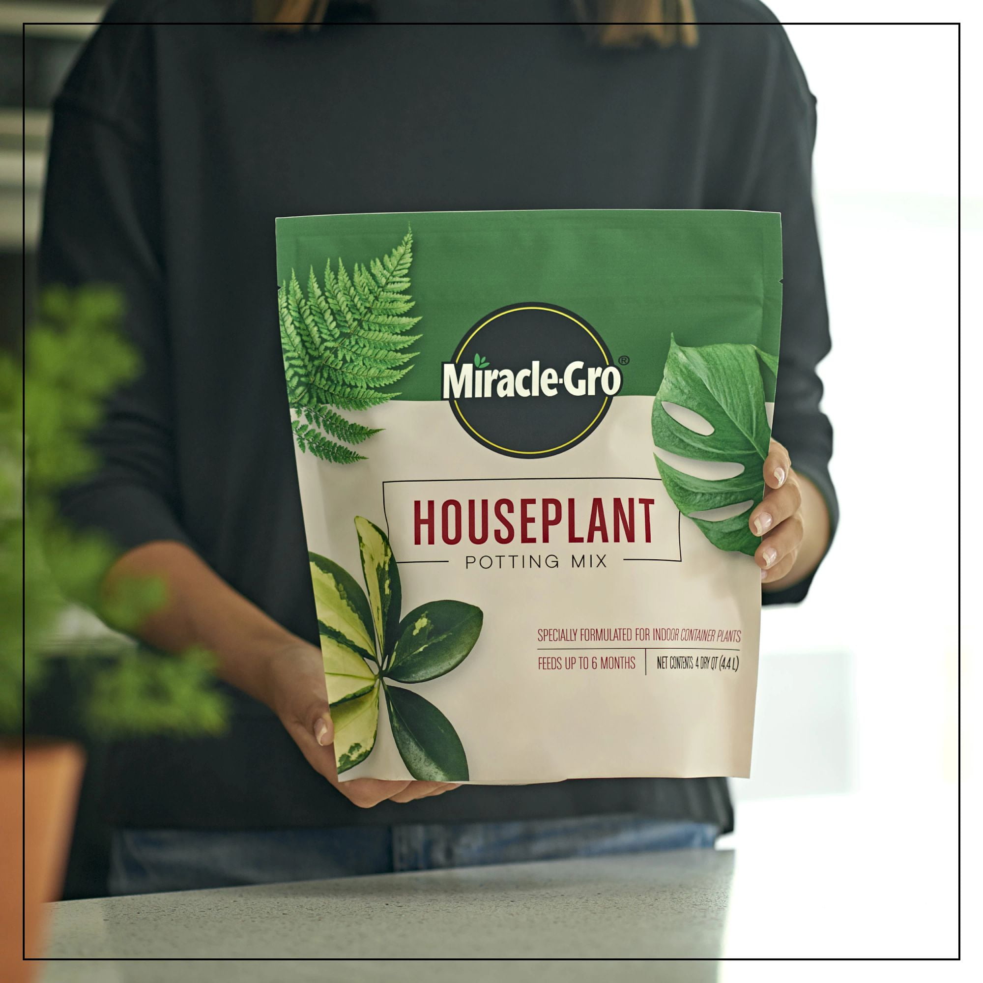(2 pack) Miracle-Gro Houseplant Potting Mix, 4 qt., Fertilizer and Soil