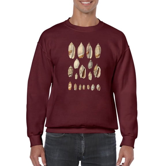 Cone Shell Display I Sweatshirt Men -Jennifer Goldberger Designs, Male x-Large
