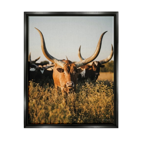 Stupell Industries Longhorn Herd Photography Animals & Insects Photography Black Floater Framed Canvas Art Print Wall Art, 17 x 21