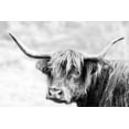 thumbnail image 2 of Delimont, Danita 32x23 White Modern Wood Framed Museum Art Print Titled - Hairy Highland Hazy Day, 2 of 4