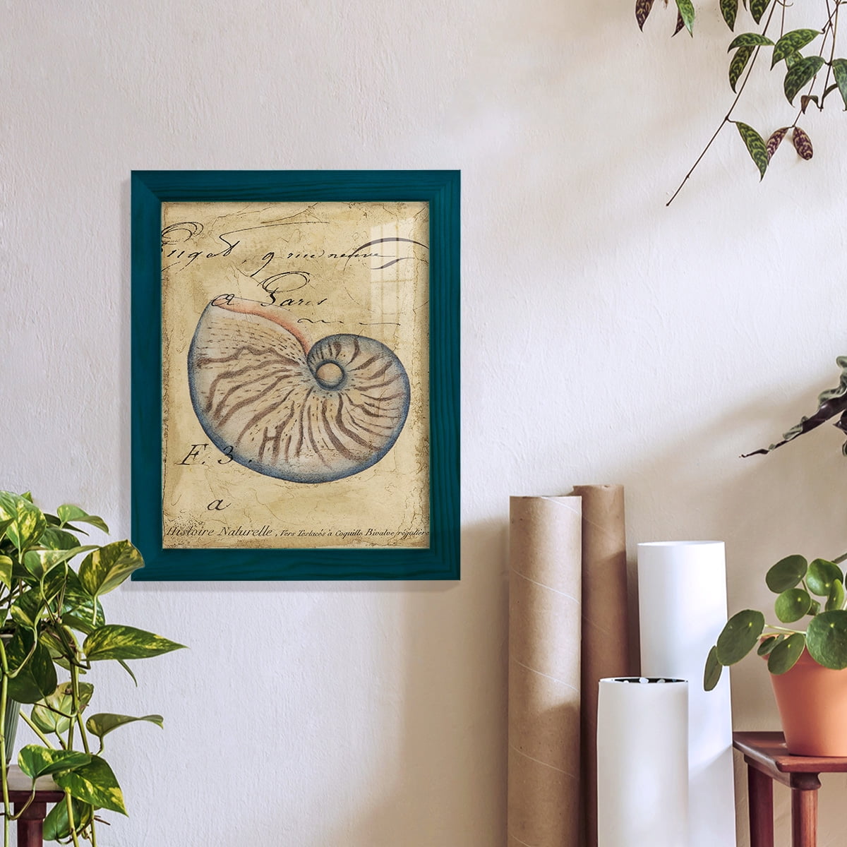Seashell Ephemera II - Framed Print w/glass - Ocean Blue