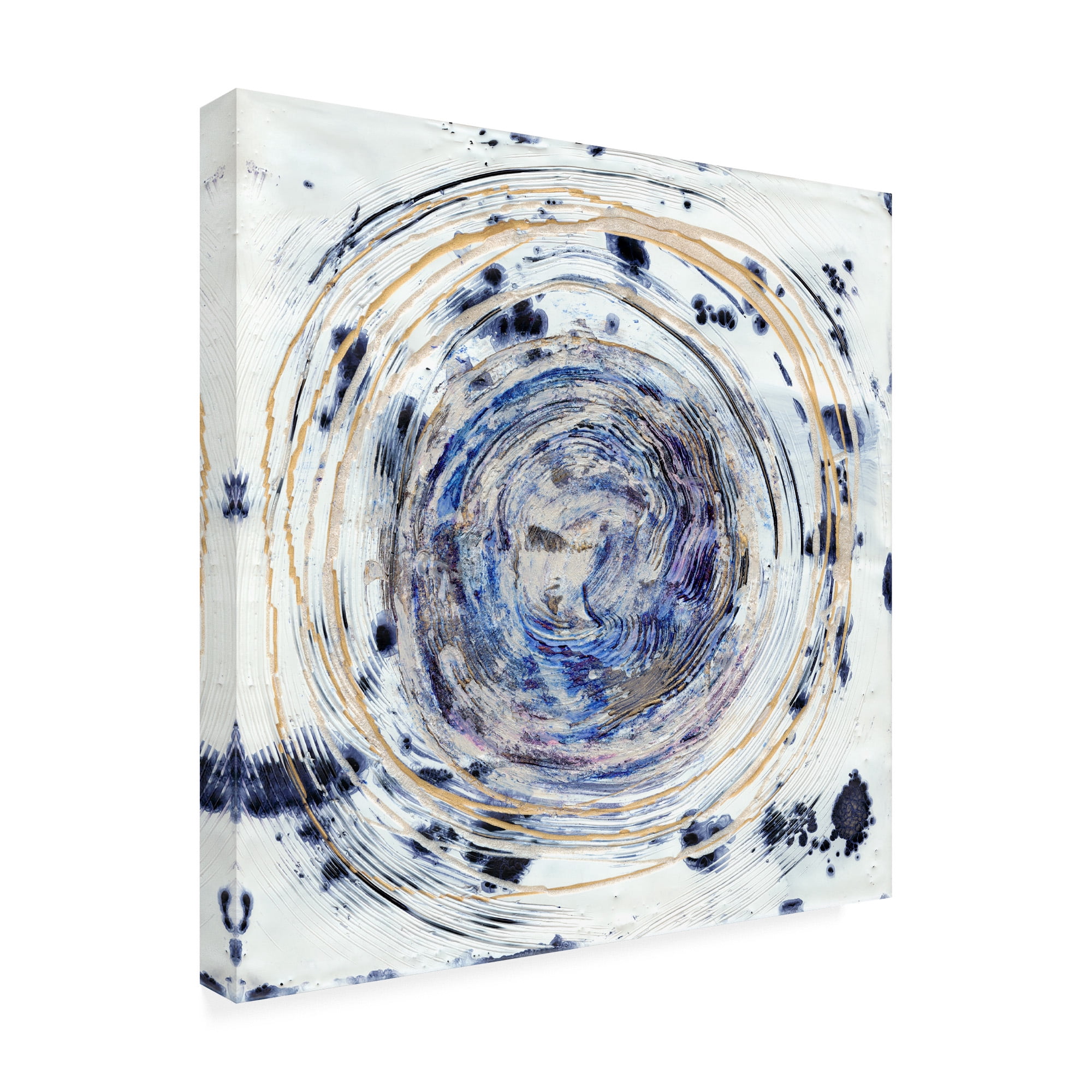 Trademark Fine Art 'Whorl I' Canvas Art by Alicia Ludwig