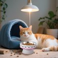 thumbnail image 1 of Elevated Cat Slow Feeder Bowl Tilt Raised Dish for Improved Eating Posture and Digestion with Non- Base Design, 1 of 3