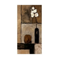 Trademark Fine Art 'Earthy Orchid Panel I' Canvas Art by Judi Bagnato