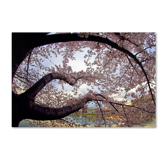 Trademark Fine Art "Cherry Blossoms 2014-1" Canvas Art by CATeyes
