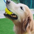 thumbnail image 3 of KAKOWELY Pelota de goma para mascotas con cuerda, juguete masticable para perros, juguete de dentición de goma, pelota para limpiar los dientes, 3 of 5