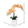 thumbnail image 2 of Vickerman 22" Artificial Potted Real Touch Coral Phalaenopsis Spray., 2 of 2