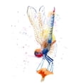 thumbnail image 3 of Shefranov, Olga 12x14 Black Modern Framed Museum Art Print Titled - Dragonfly II, 3 of 5