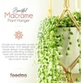 thumbnail image 4 of feedee Macrame Plant Hangers - 6 Pack, Brown, Indoor/Outdoor, 11.9 lbs Capacity, Ready to Hang, 4 of 15