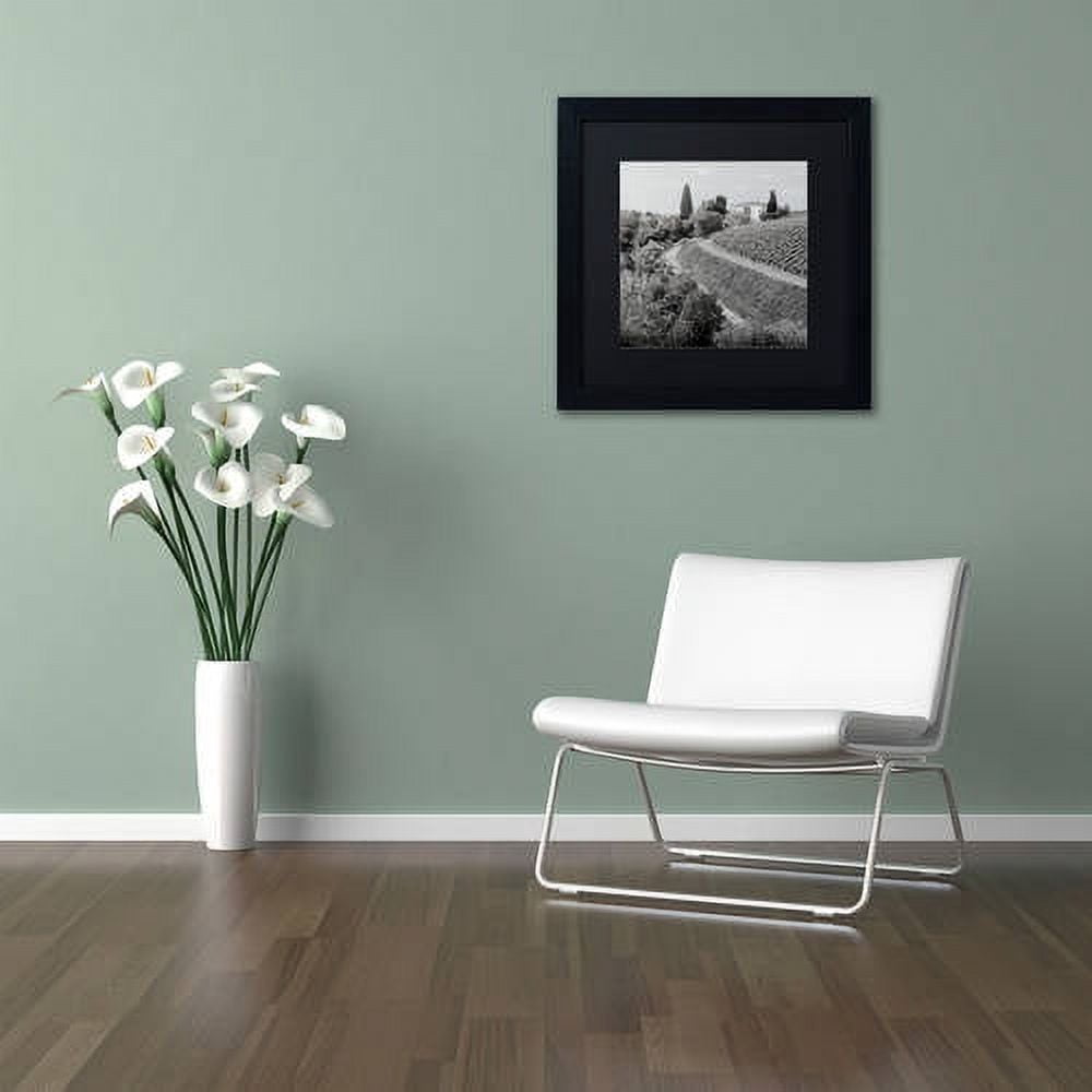 Trademark Fine Art "Tuscany V" Canvas Art by Alan Blaustein, Black Matte, Black Frame