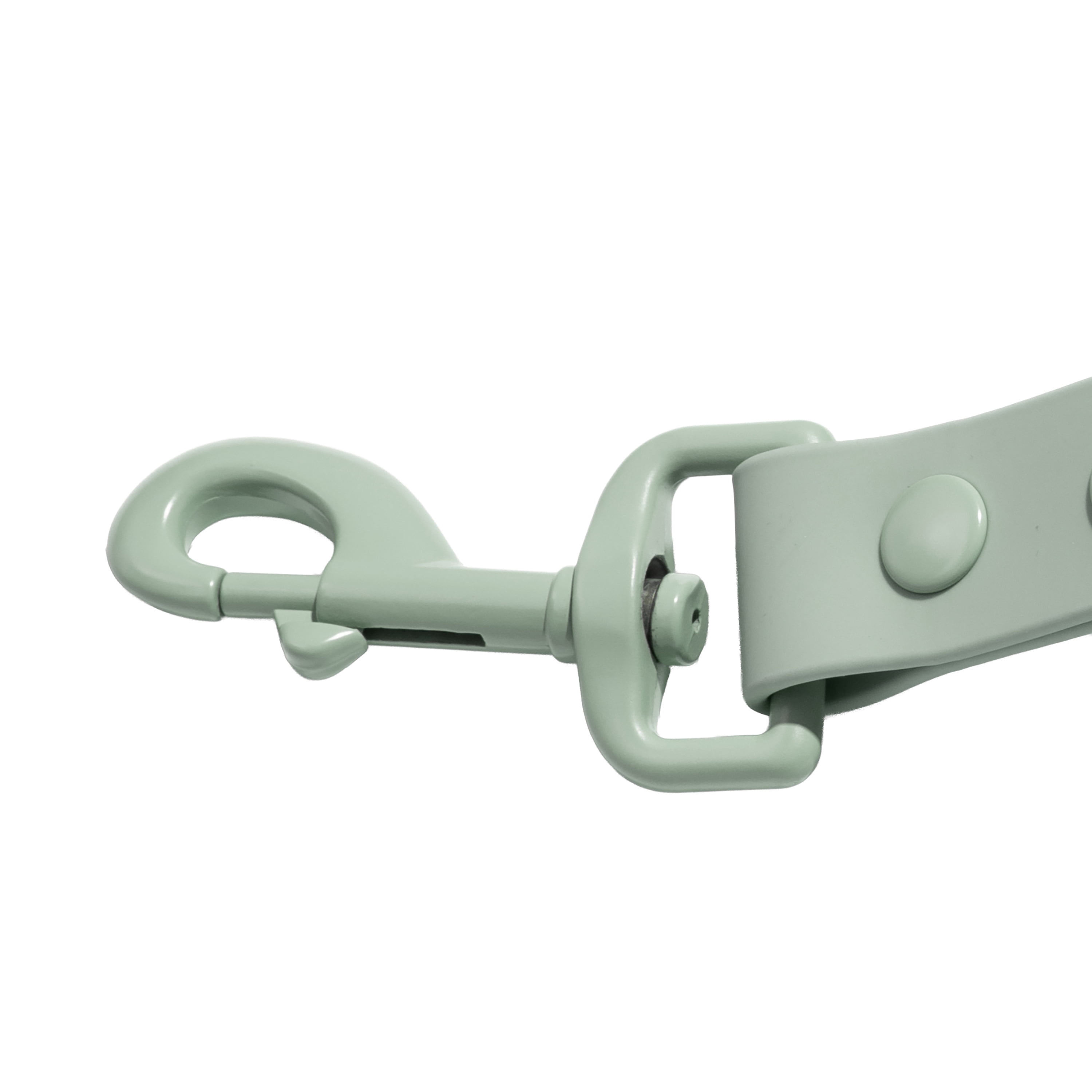 Vibrant Life 6' TPU Water Resistant Standard Dog Leash, Sage Green