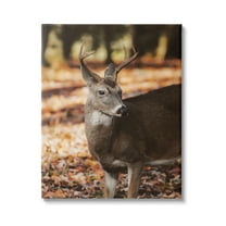 Stupell Industries Deer in Fall Foliage Animals & Insects Photography Gallery Wrapped Canvas Print Wall Art, 36 x 48