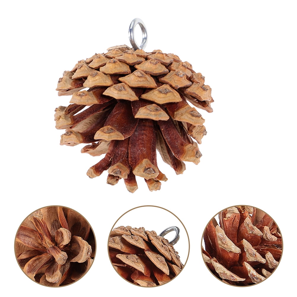 YUYUETIME 5Pcs Natural Pine Cone Bird Chew Toys Coffee Color Parrot Cage Accessories for Cockatiels