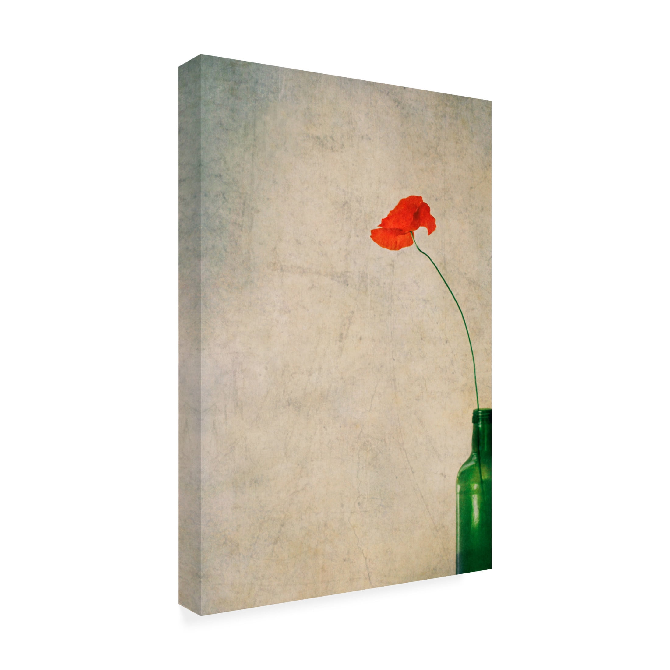 Canvas Wall Art - Delphine Devos 'With Mouth Wide A Pout For A Sultry Kiss  ' Wall Art for Living Room, Bedroom, or Office Décor by Trademark Fine Art - 12 x 19 Inches