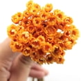 thumbnail image 3 of NOGIS 200 Stems Dried Flowers Brazilian Small Star Daisy Decorative Dried Flowers Colorful Natural Dry Flower Bouquet Mini Flower Bouquet Daisy Chamomile Flowers for DIY Home Wedding（Orange）, 3 of 7