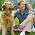 thumbnail image 6 of Pet Self Cleaning Slicker Brush, Shedding and Grooming Tool for Pets, for Large Medium Small Sensitive Long or Short Hair Dogs, Cats, 6 of 8