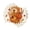 A, variant on Sm:)e Orange Pumpkin Maple Leaf Fall Placemats Set of 4 12x18 Inch, Indoor Outdoor Table Mats Decorations for Home Party