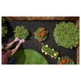 thumbnail image 4 of Premium Shredded Rubber Mulch for Gardens, Lawns, and Landscaping | Long Lasting Color | Looks Like Natural Wood Mulch (0.8 Cu. Ft. - 16 LBS, Black), 4 of 9