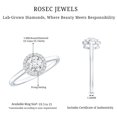 thumbnail image 5 of Rosec Jewels Minimalist Diamond Halo Promise Ring for Women - EF-VS Quality - Ready to Gift, 18K White Gold, US 4.50, 5 of 8