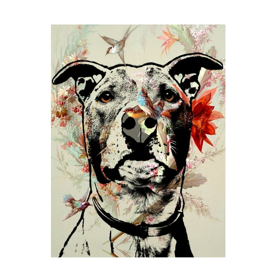 Canvas Wall Art - Dean Russo 'Distinguished Pittie' Wall Art for Living Room, Bedroom, or Office Décor by Trademark Fine Art - 14 x 19 Inches