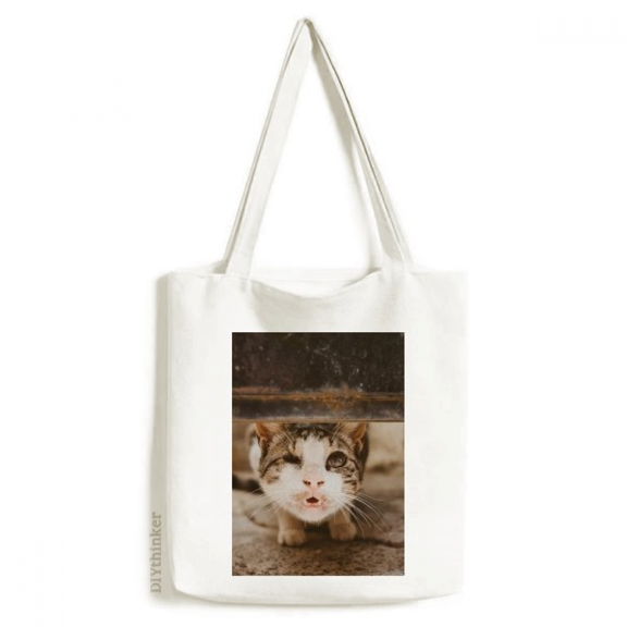 animal funny cat photograph tote canvas bag shopping satchel casual handbag