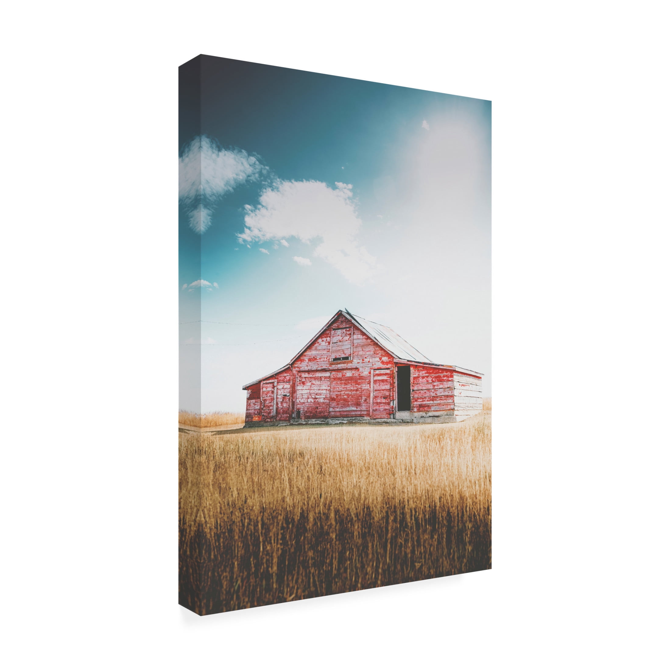 Canvas Wall Art - Annie Bailey Art 'Restoration' Wall Art for Living Room, Bedroom, or Office Décor by Trademark Fine Art - 16 x 24 Inches
