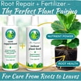 thumbnail image 6 of Houseplant Resource Center - Root Supplement, Liquid Root Stimulator - for Fiddle Leaf Fig & Indoor Plants - Propagation Promoter, Root Rot Treatment - Food for Healthy Roots, Stems, & Leaves - 8 Oz, 6 of 9