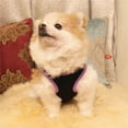 thumbnail image 4 of Easter Puppy Dog Vest Apparel For Small Pet Holiday Clothing, 4 of 4