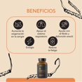 thumbnail image 3 of Hongo Cordyceps 60 cápsulas veganas Quenut Adaptógenos Quenut QUENUTCORDYCEPS, 3 of 5