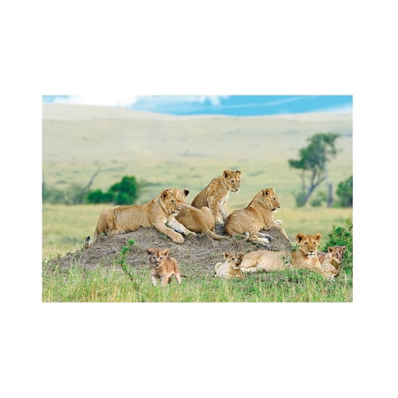 African Safari Vbs Lion Backdrop - Party Decor - 3 Pieces