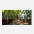 thumbnail image 2 of Grand Allée dans la Forêt de Bambous - Impression sur Toile Murale de Forêt, 2 of 3