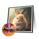 thumbnail image 2 of Cuadros Decorativos 5D bricolaje taladro redondo completo diamante pintura conejo Kit arte decoración del hogar (A6620) DQrwqpou Nuevos Originales, 2 of 9
